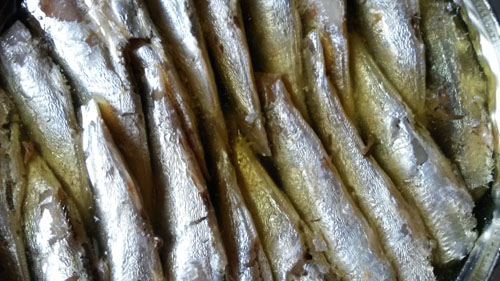 sardine in proprietà conservate
